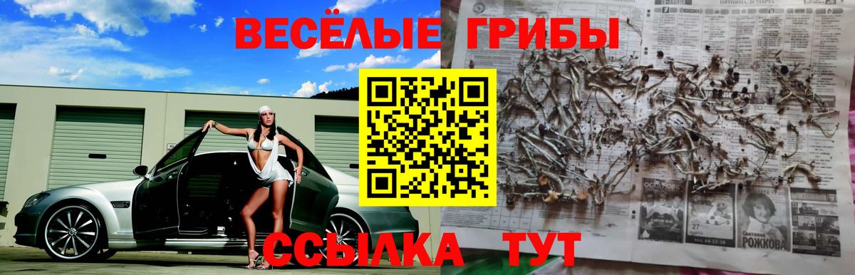 Галлюциногенные грибы мухоморы Изобильный